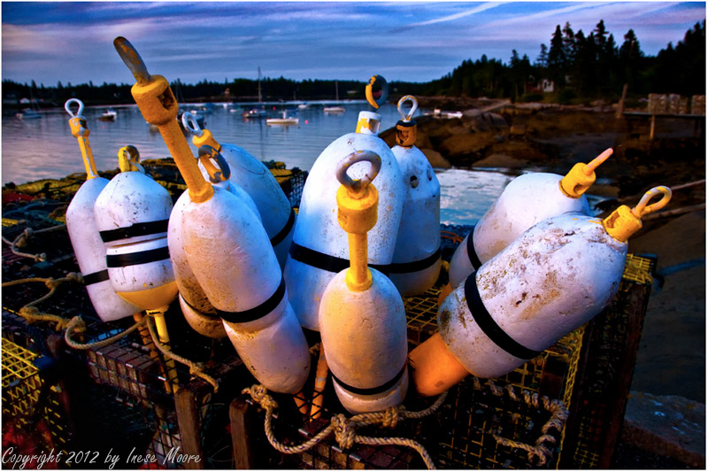 Wally's Buoys